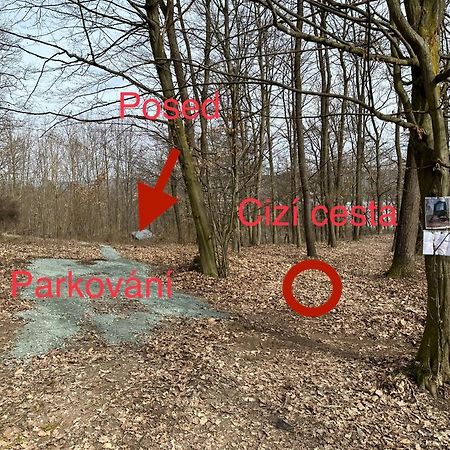 Posed Na Strani Hotel Kninicky Kültér fotó